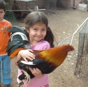 Meet your Posher, Pedro